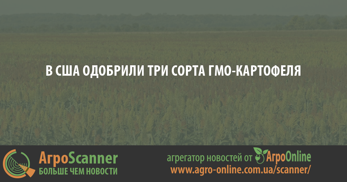 В США одобрили три сорта ГМО-картофеля